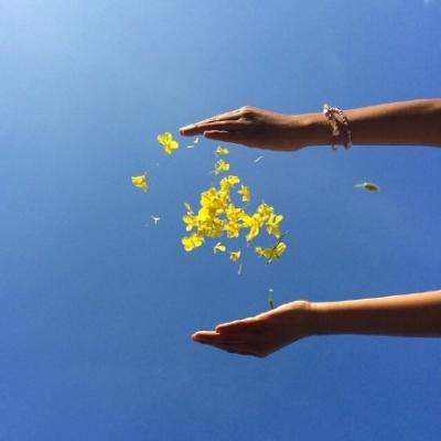 威斯尼斯wns888入