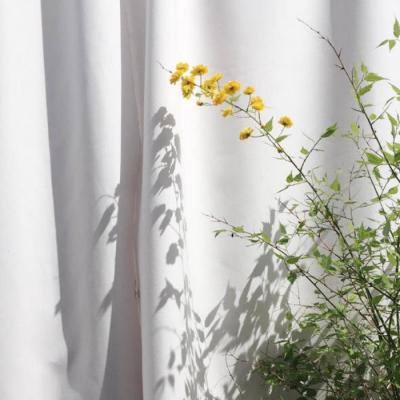 万博app下载最新版